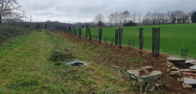 biodiversité