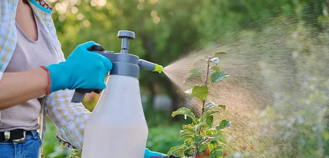 pesticides